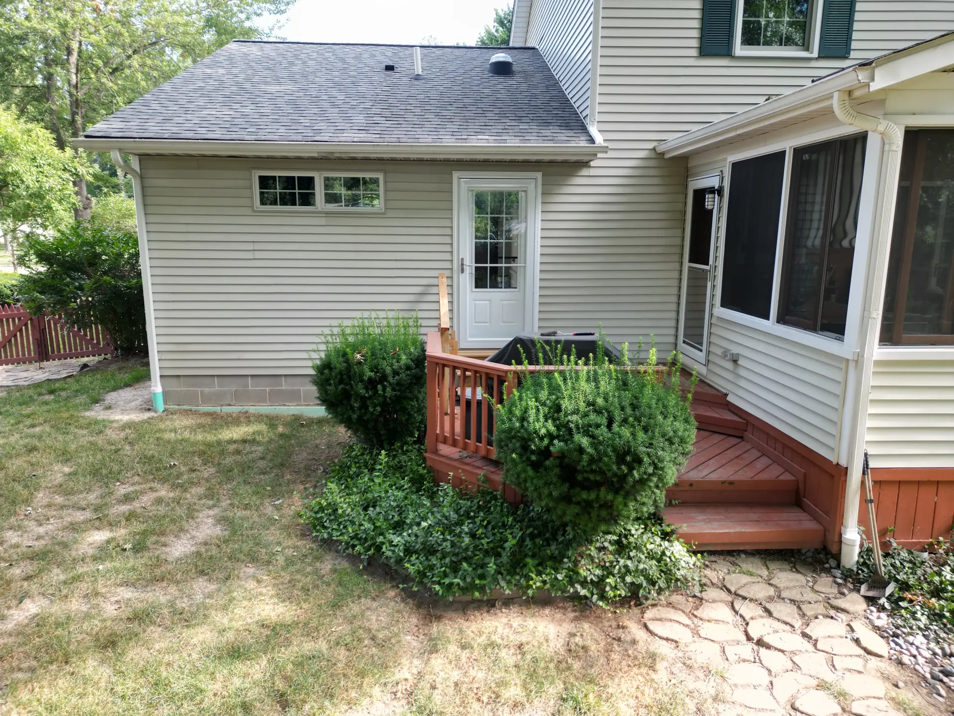 Ground-level view with overgrown shrubs
